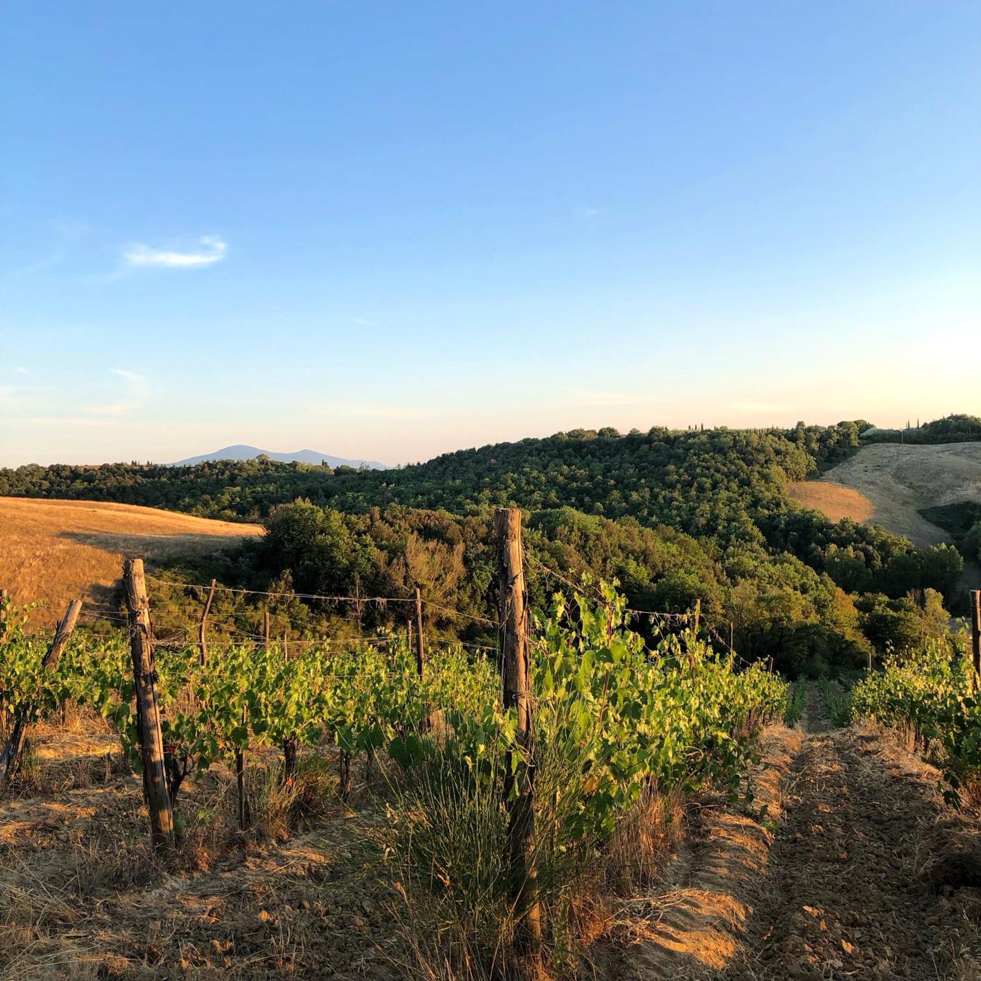 Podere Sole 트레콴다 외부 사진